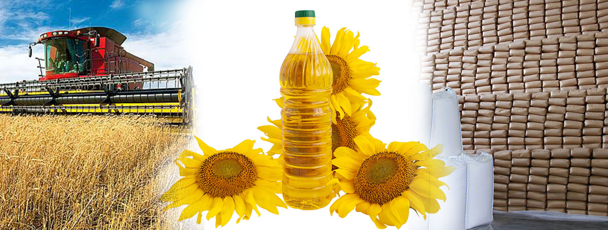 Agriculture-head-2